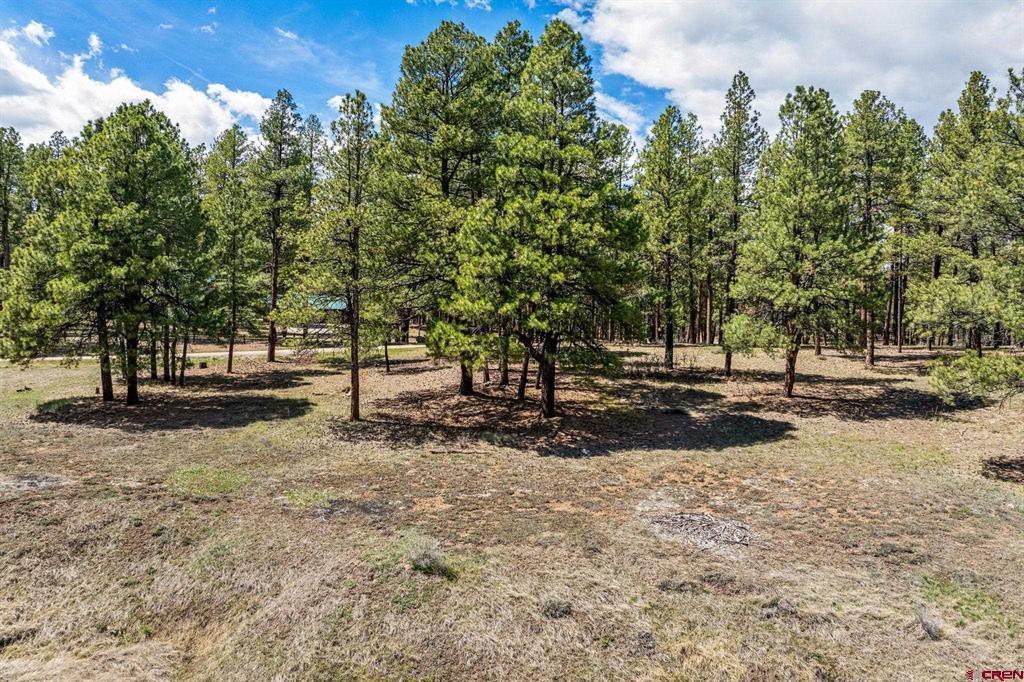 841 Beaver Creek Drive Bayfield CO 81122