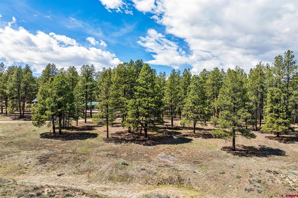841 Beaver Creek Drive Bayfield CO 81122