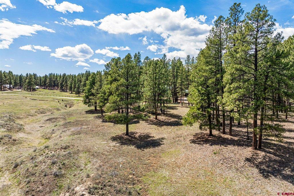 841 Beaver Creek Drive Bayfield CO 81122