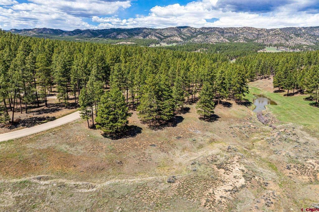 841 Beaver Creek Drive Bayfield CO 81122