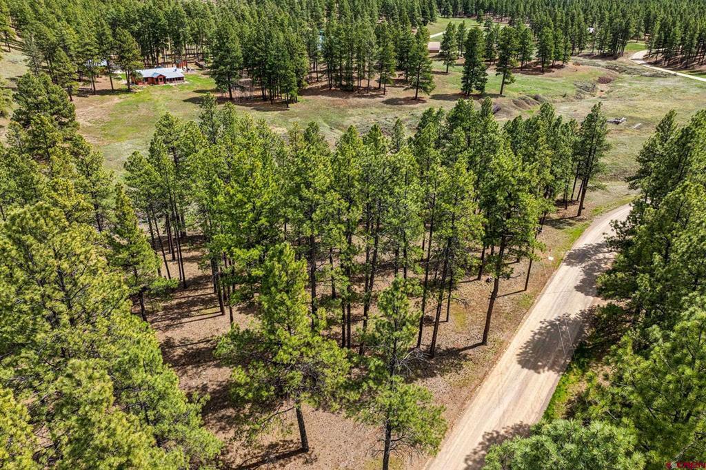 841 Beaver Creek Drive Bayfield CO 81122