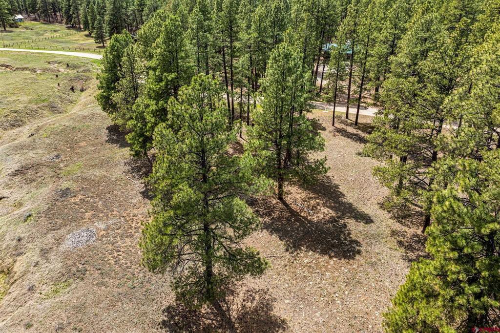 841 Beaver Creek Drive Bayfield CO 81122