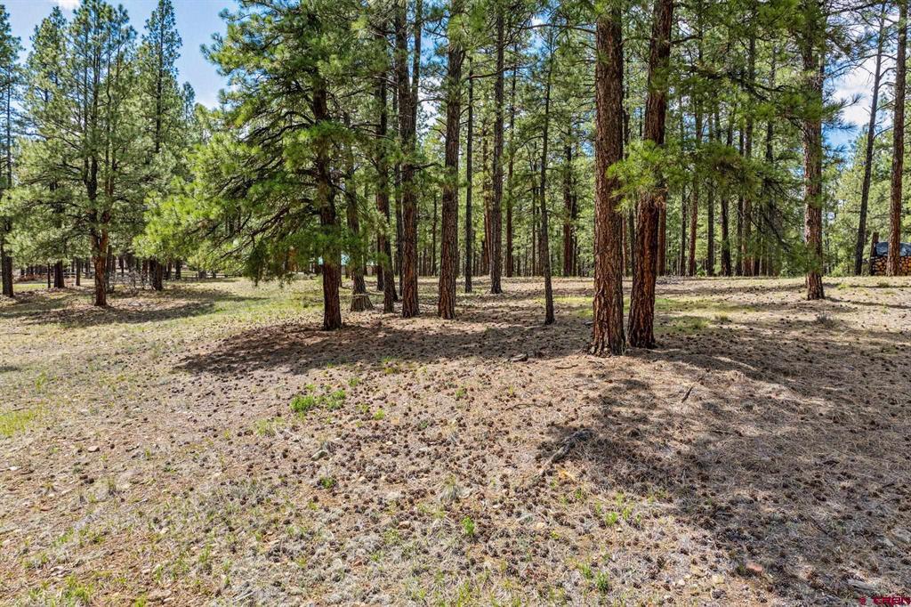 841 Beaver Creek Drive Bayfield CO 81122