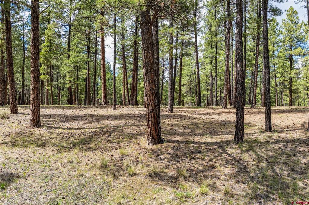841 Beaver Creek Drive Bayfield CO 81122