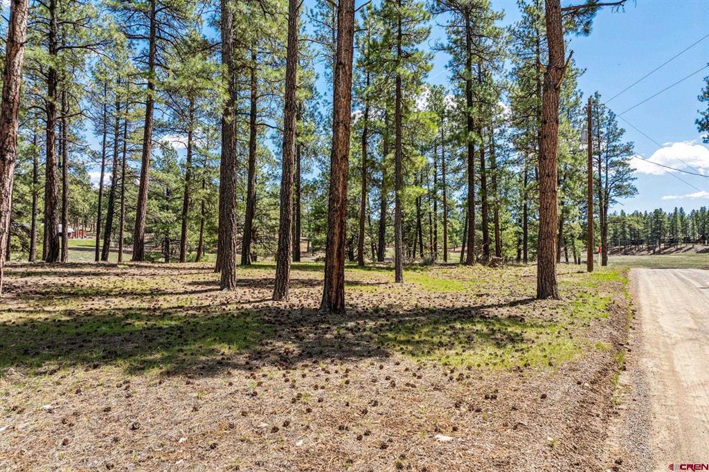 841 Beaver Creek Drive Bayfield CO 81122