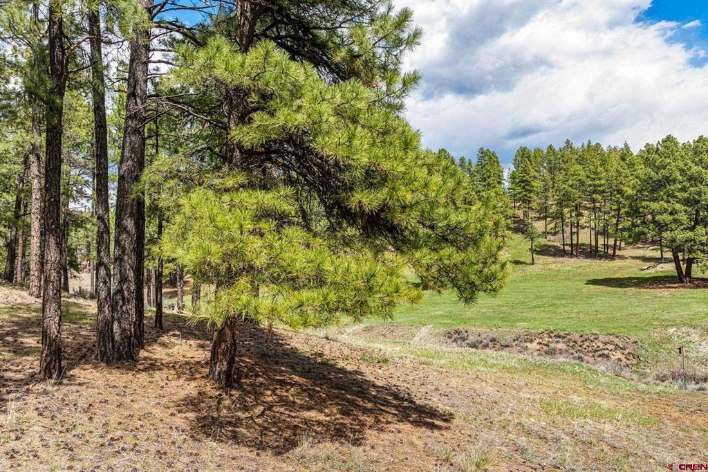 841 Beaver Creek Drive Bayfield CO 81122