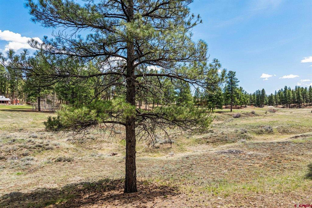 841 Beaver Creek Drive Bayfield CO 81122