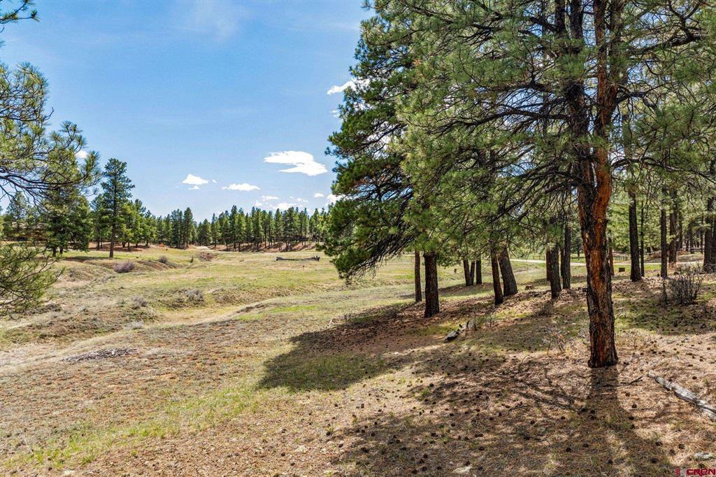 841 Beaver Creek Drive Bayfield CO 81122