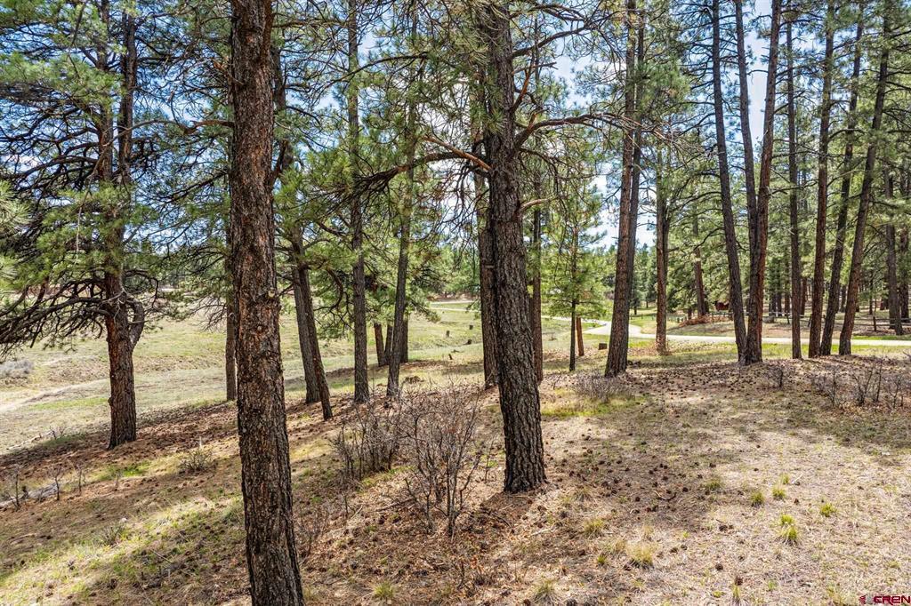 841 Beaver Creek Drive Bayfield CO 81122