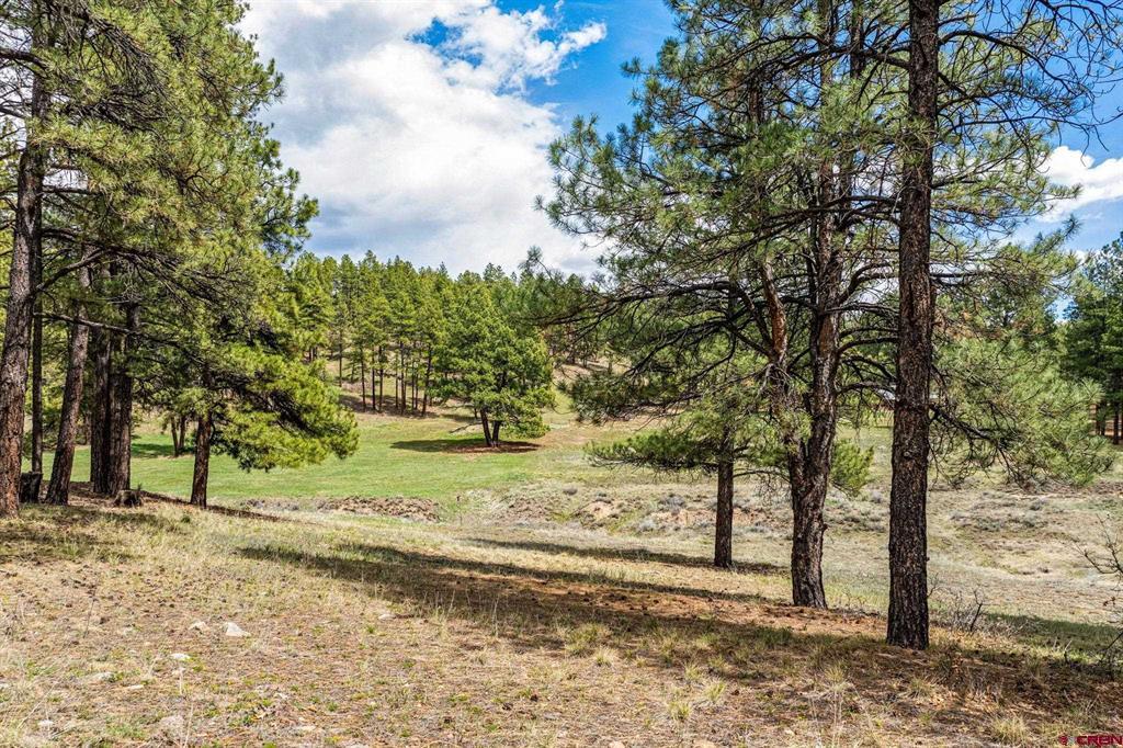 841 Beaver Creek Drive Bayfield CO 81122