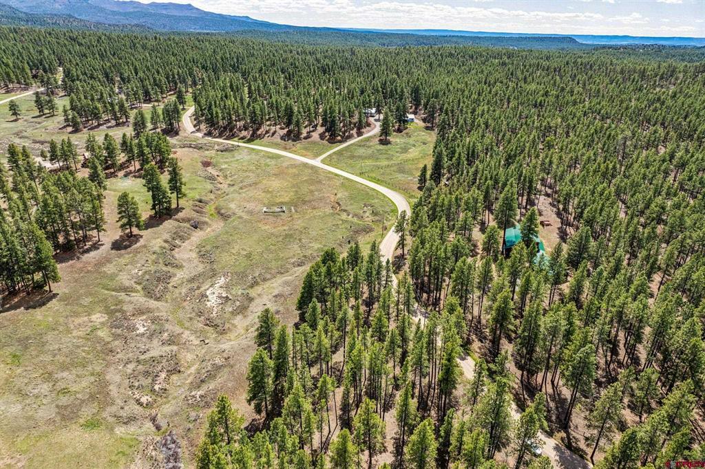 841 Beaver Creek Drive Bayfield CO 81122