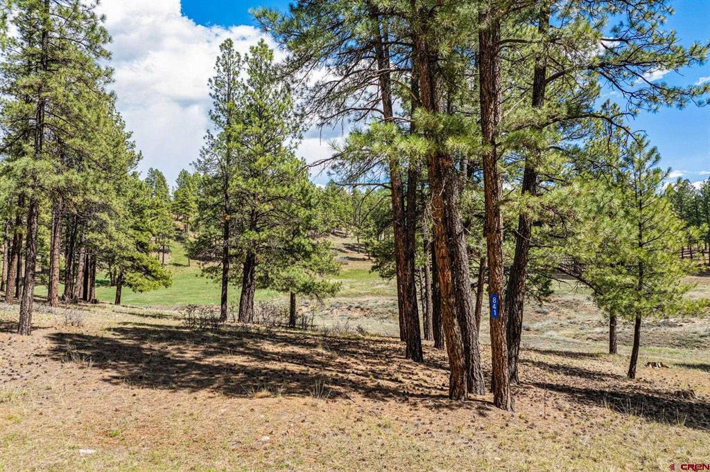 841 Beaver Creek Drive Bayfield CO 81122