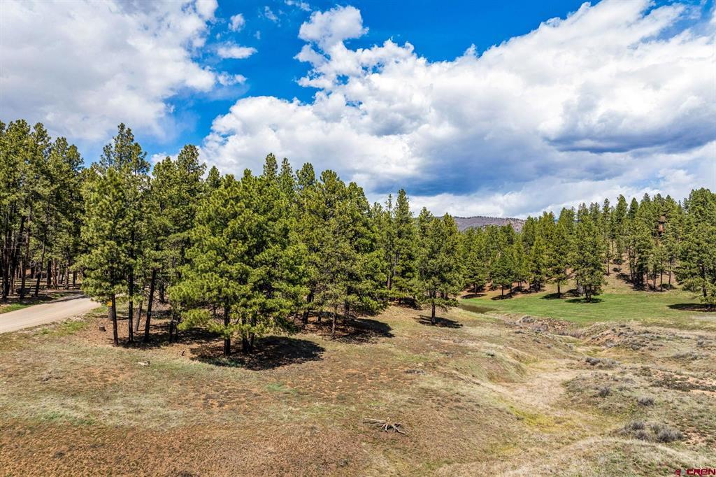 841 Beaver Creek Drive Bayfield CO 81122