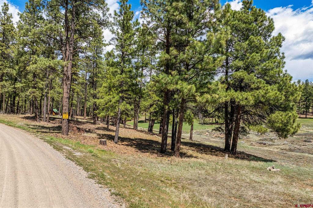841 Beaver Creek Drive Bayfield CO 81122