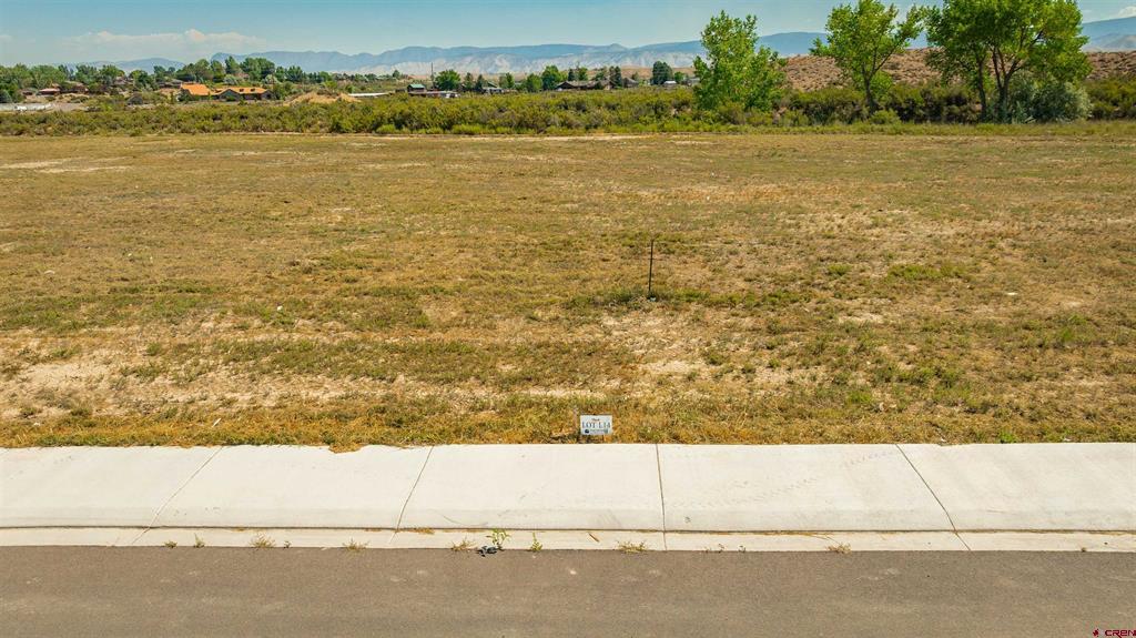 Lot 14 Killarney Lane Montrose CO 81401