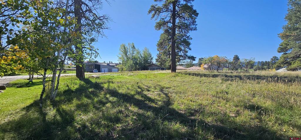 Pagosa Springs CO, 429 Golf