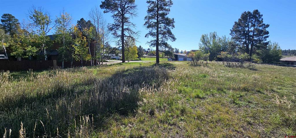 429 E Golf Place Pagosa Springs CO 81147