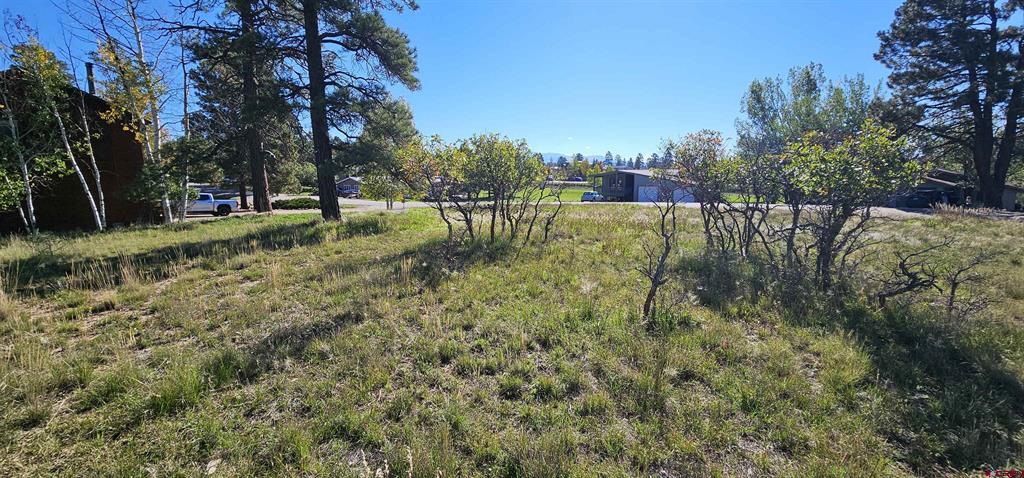 429 E Golf Place Pagosa Springs CO 81147