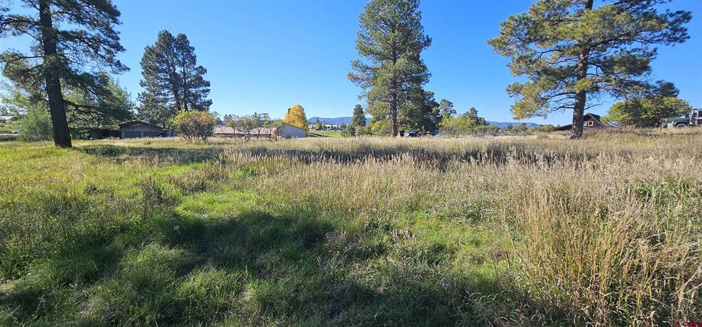 429 E Golf Place Pagosa Springs CO 81147