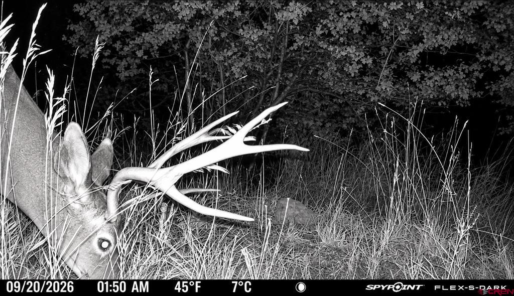 Tbd Cr 501 Bayfield CO 81122