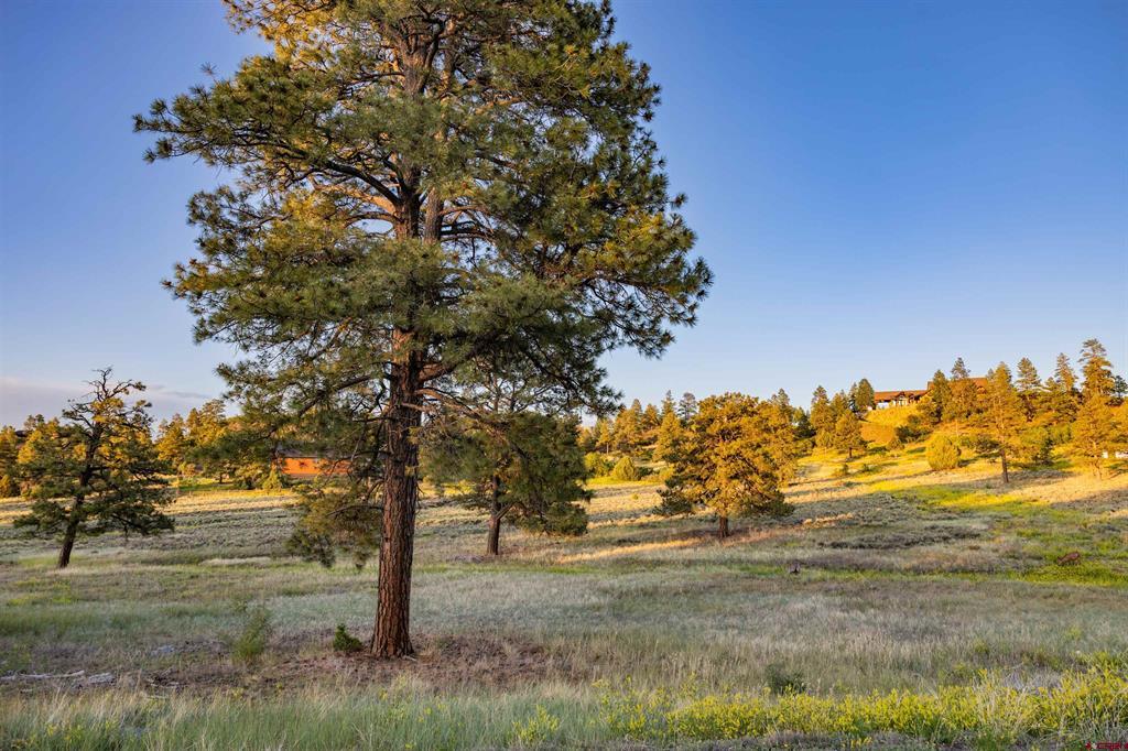 350 Bristlecone Drive Pagosa Springs CO 81147