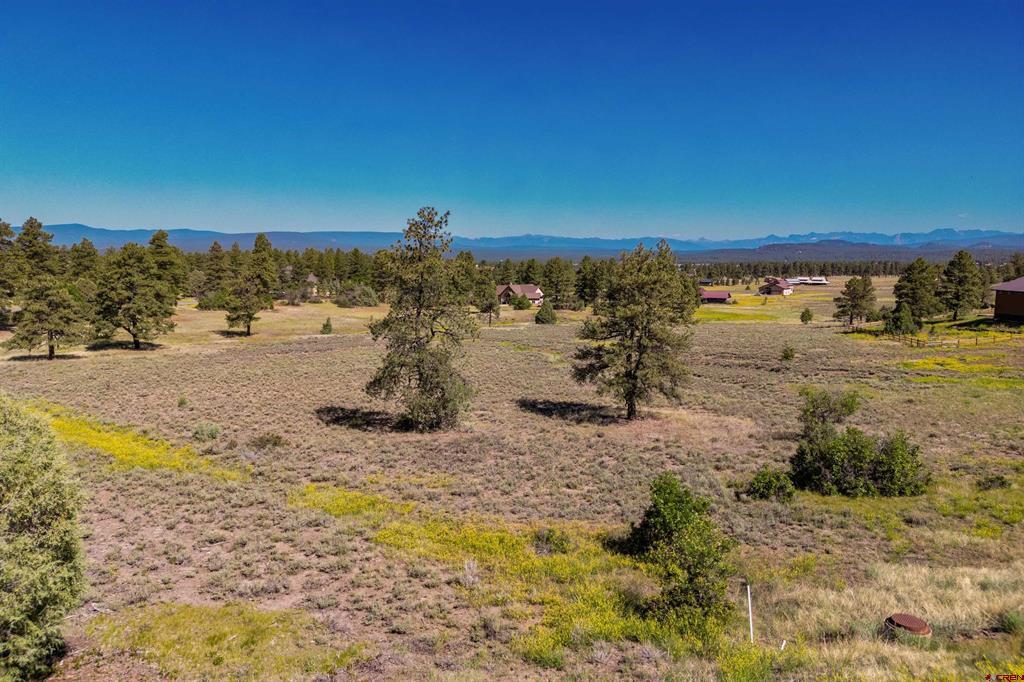 350 Bristlecone Drive Pagosa Springs CO 81147
