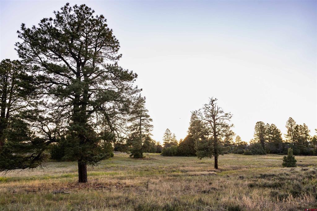 350 Bristlecone Drive Pagosa Springs CO 81147