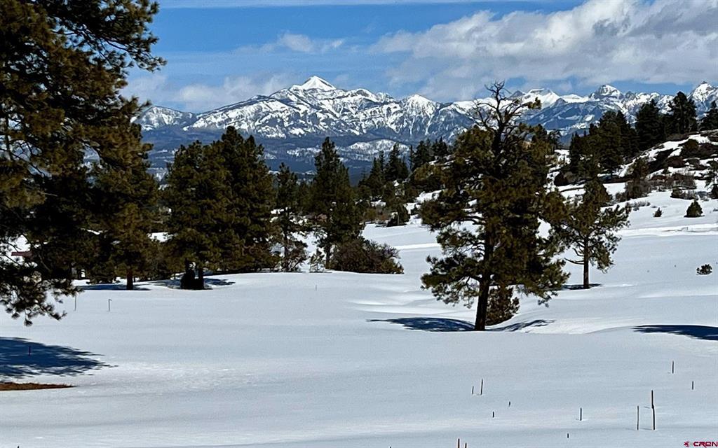 350 Bristlecone Drive Pagosa Springs CO 81147