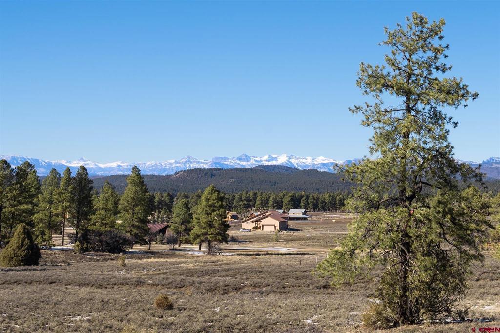 350 Bristlecone Drive Pagosa Springs CO 81147