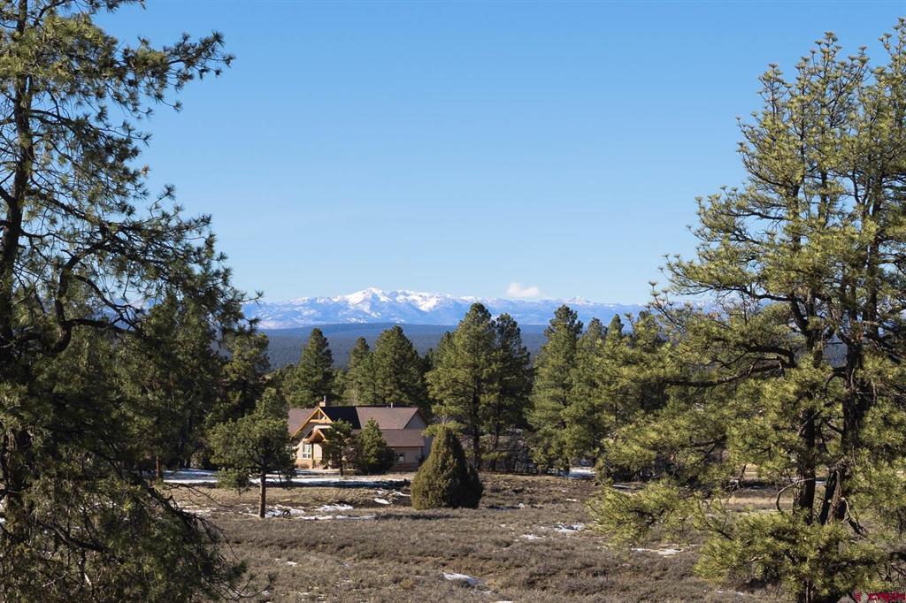 350 Bristlecone Drive Pagosa Springs CO 81147