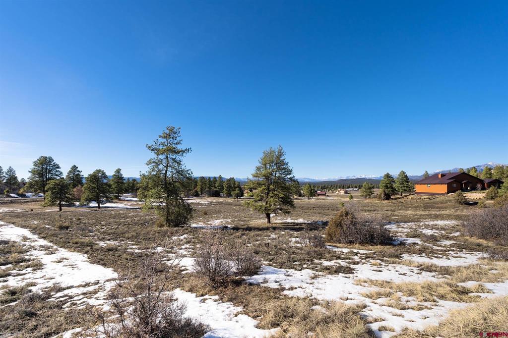 350 Bristlecone Drive Pagosa Springs CO 81147