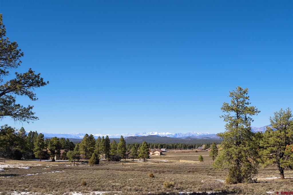 350 Bristlecone Drive Pagosa Springs CO 81147