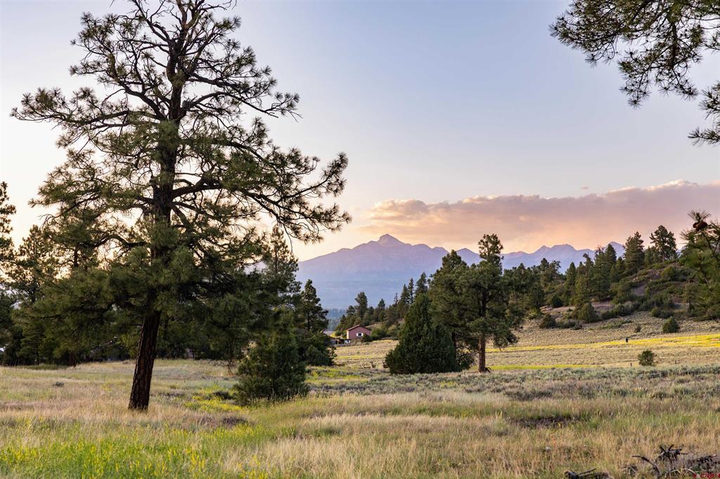 350 Bristlecone Drive Pagosa Springs CO 81147