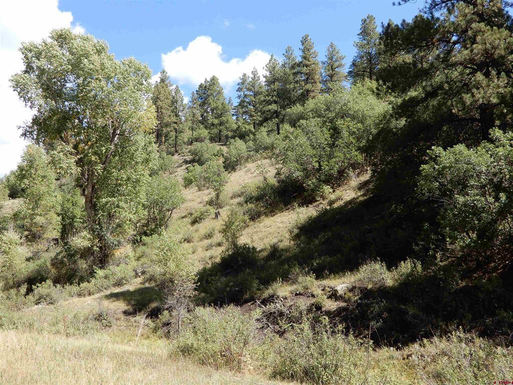 775 Banded Peaks Drive Pagosa Springs CO 81147