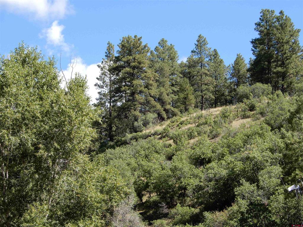 775 Banded Peaks Drive Pagosa Springs CO 81147