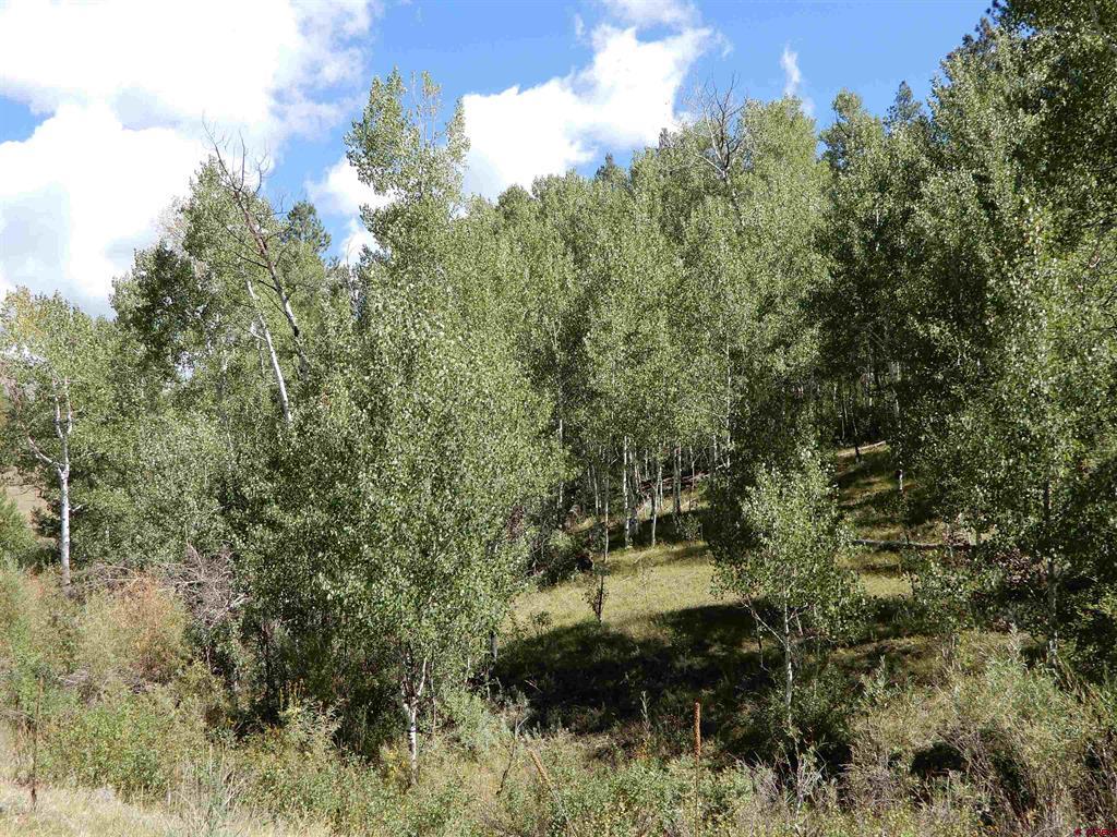 775 Banded Peaks Drive Pagosa Springs CO 81147