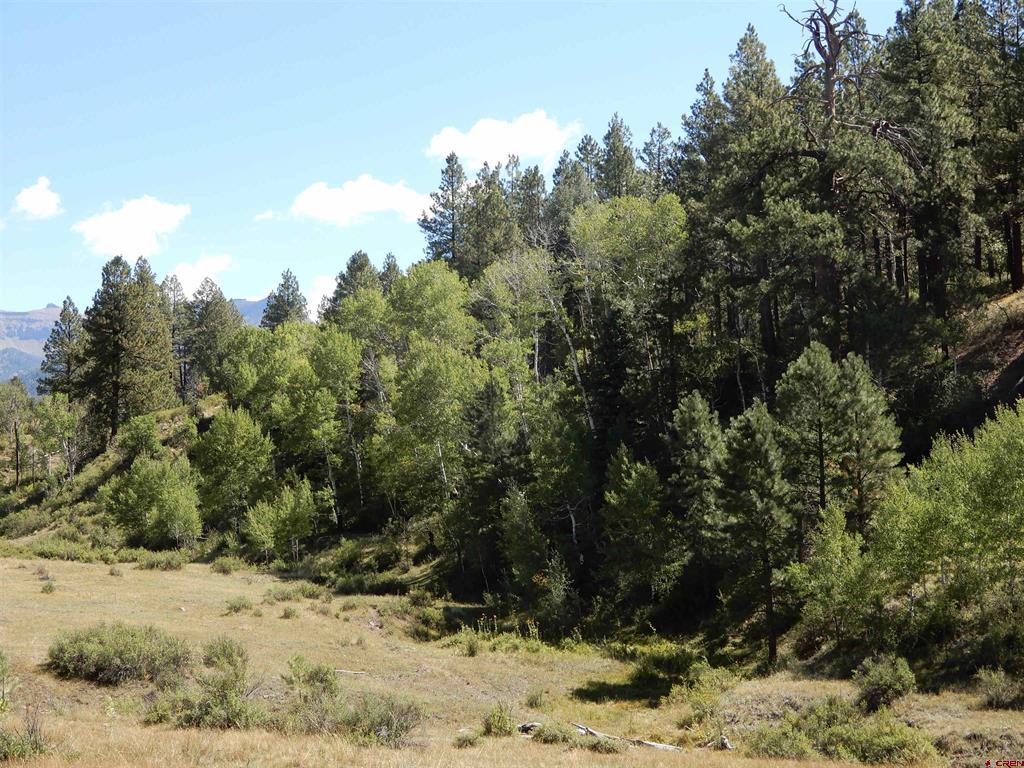 775 Banded Peaks Drive Pagosa Springs CO 81147