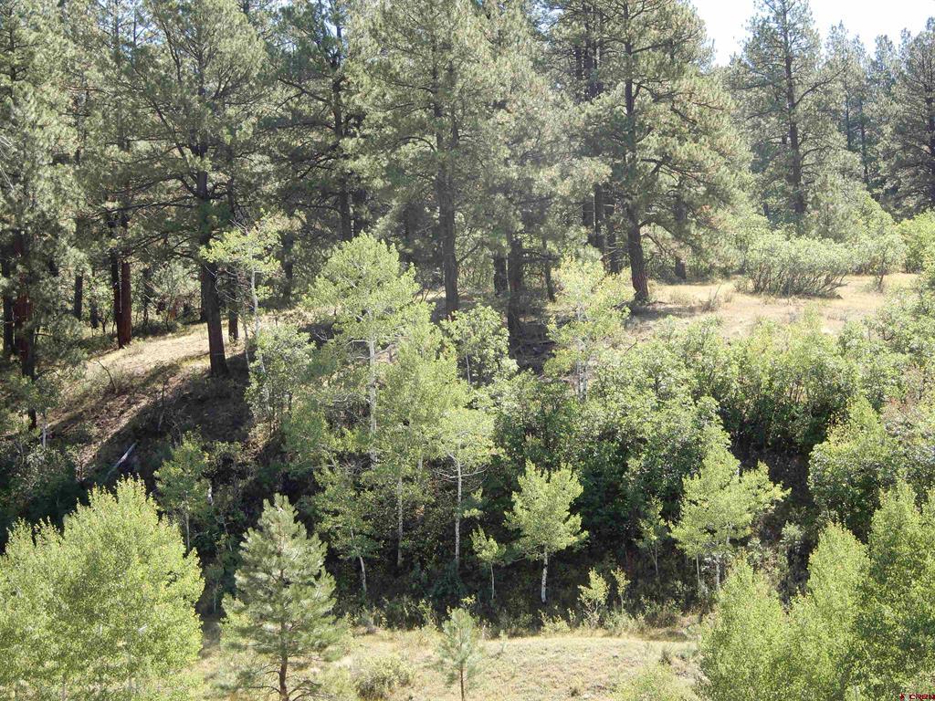 775 Banded Peaks Drive Pagosa Springs CO 81147