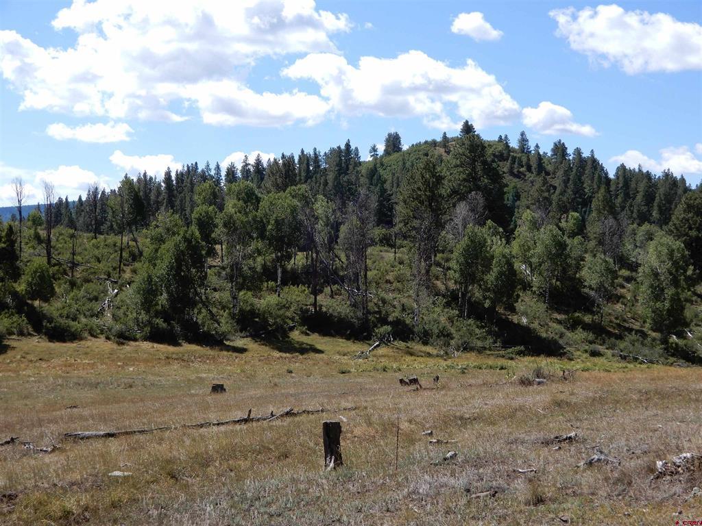 775 Banded Peaks Drive Pagosa Springs CO 81147