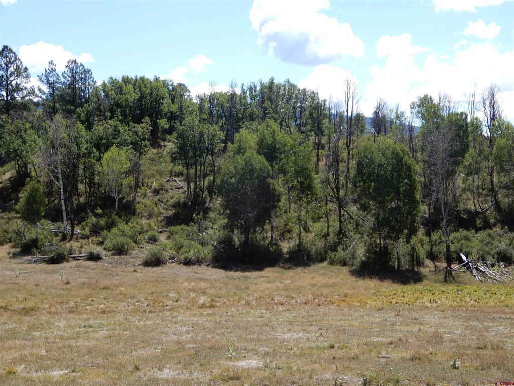 775 Banded Peaks Drive Pagosa Springs CO 81147