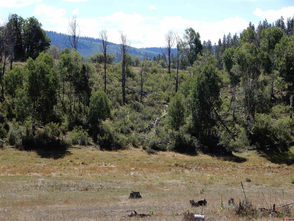 775 Banded Peaks Drive Pagosa Springs CO 81147