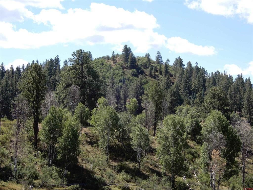 775 Banded Peaks Drive Pagosa Springs CO 81147