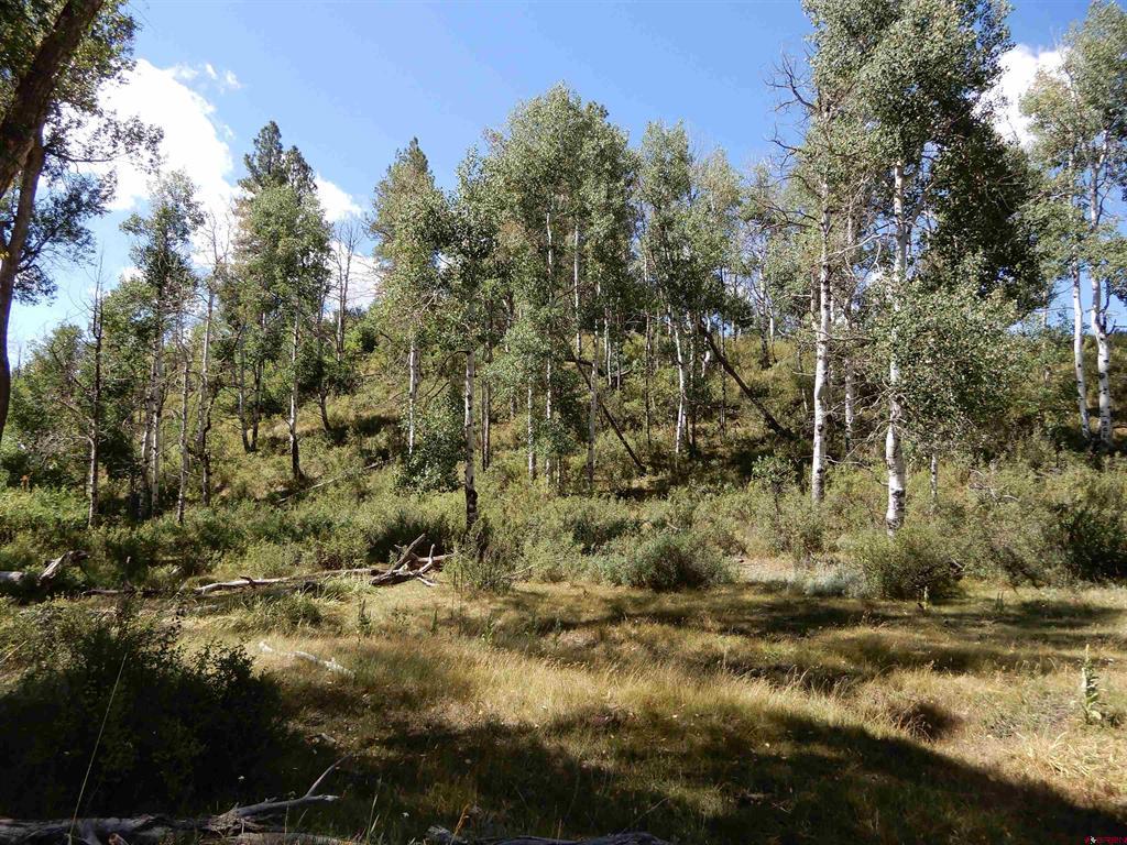 775 Banded Peaks Drive Pagosa Springs CO 81147