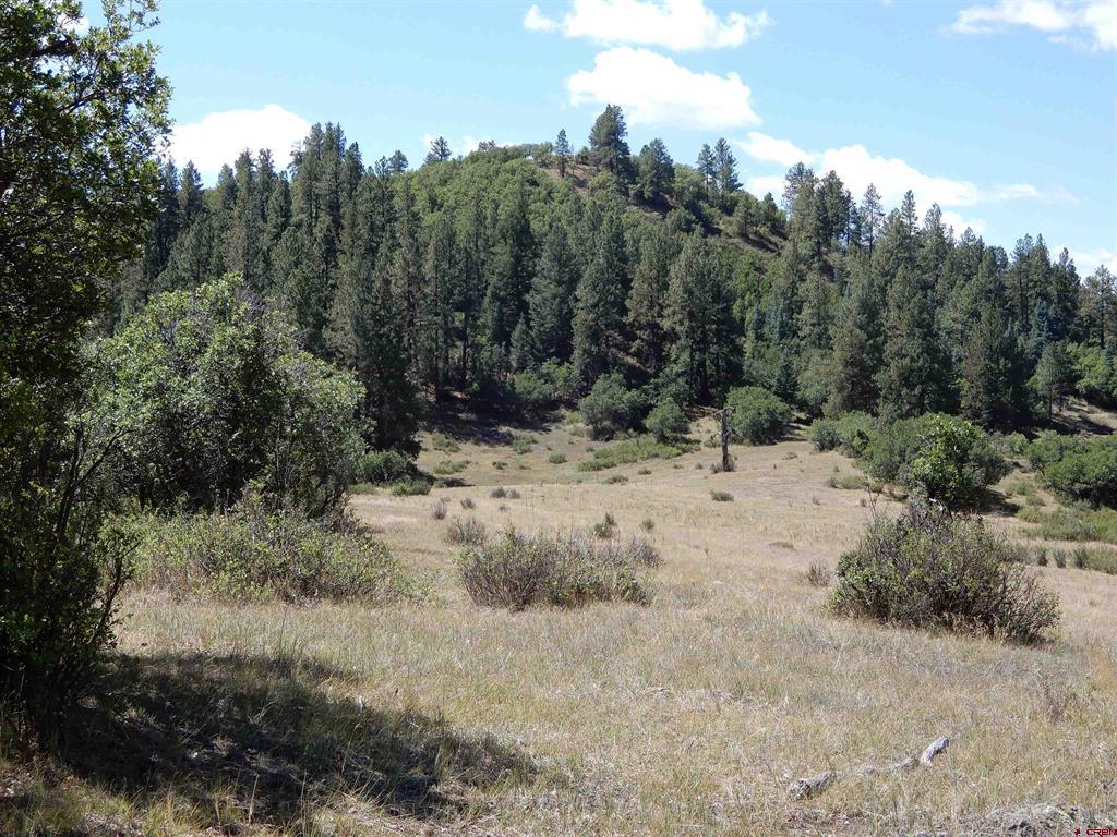 775 Banded Peaks Drive Pagosa Springs CO 81147