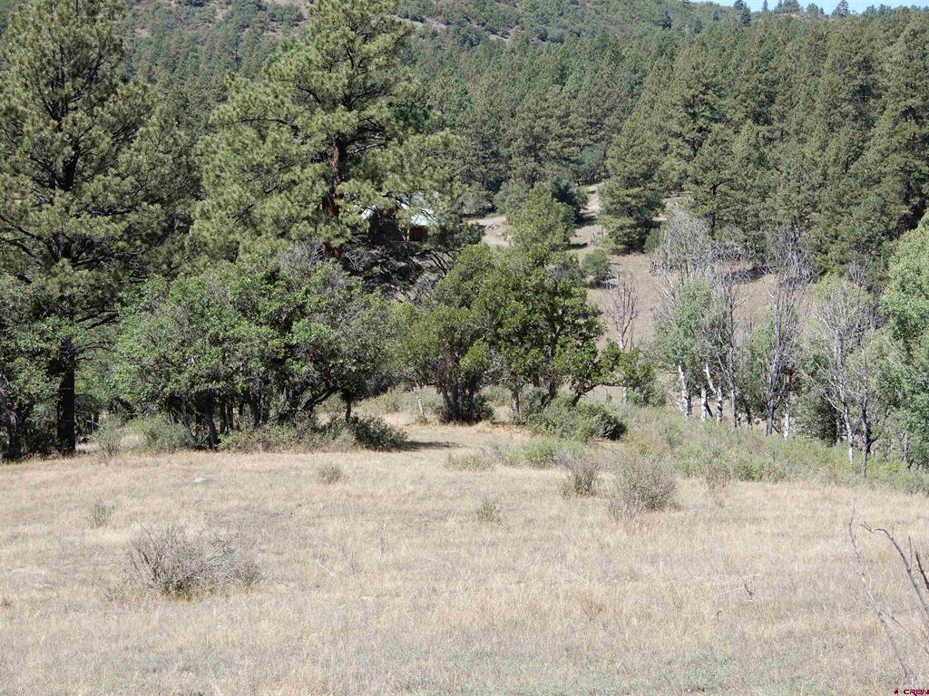 775 Banded Peaks Drive Pagosa Springs CO 81147