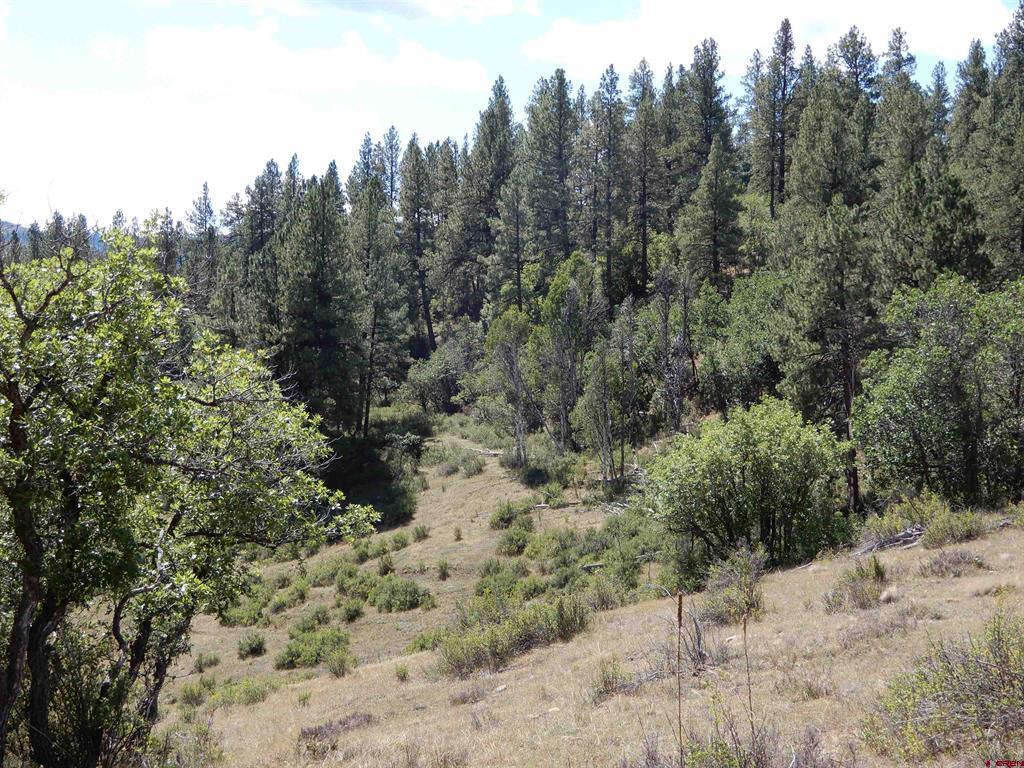 775 Banded Peaks Drive Pagosa Springs CO 81147