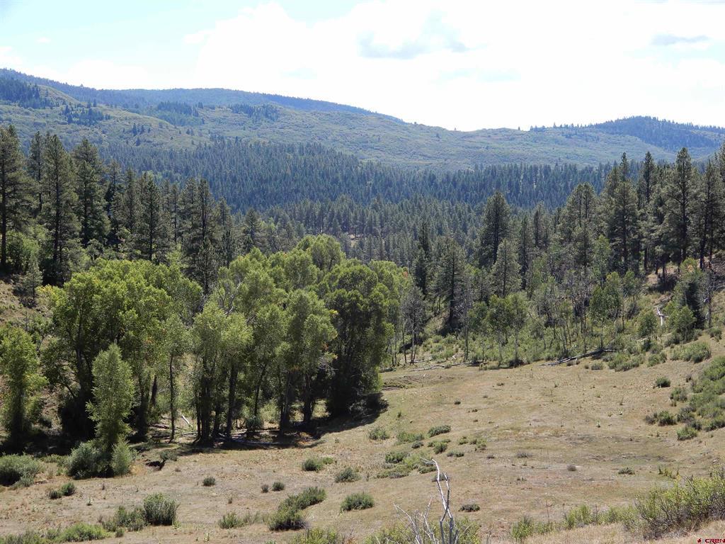 775 Banded Peaks Drive Pagosa Springs CO 81147