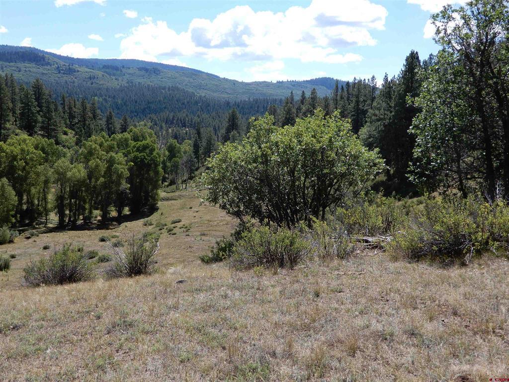 775 Banded Peaks Drive Pagosa Springs CO 81147