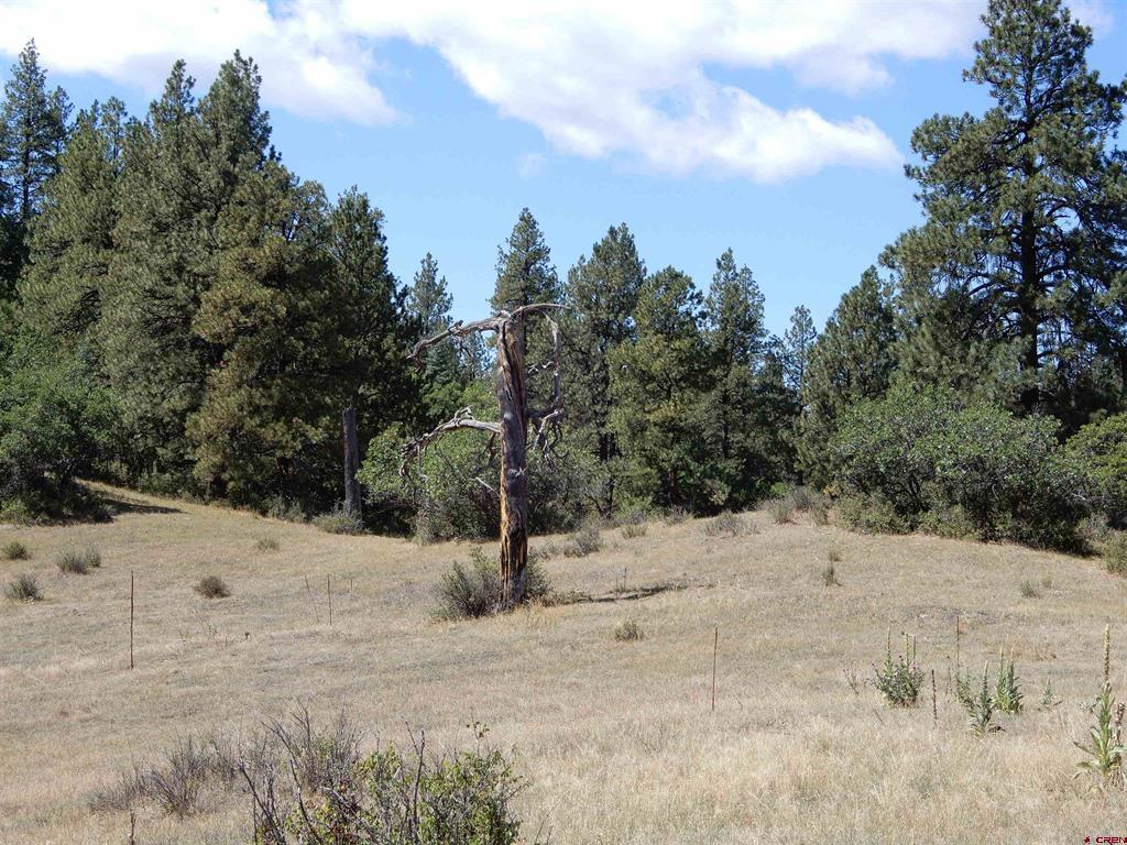 775 Banded Peaks Drive Pagosa Springs CO 81147