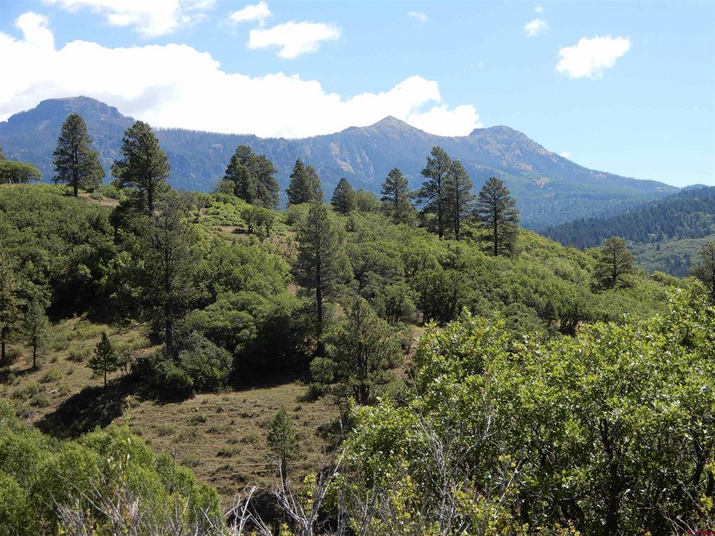 775 Banded Peaks Drive Pagosa Springs CO 81147
